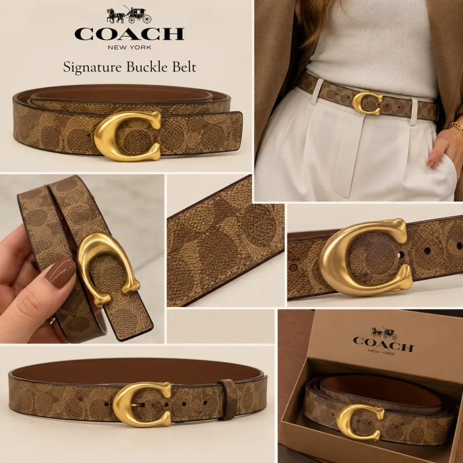 Cinto Coach