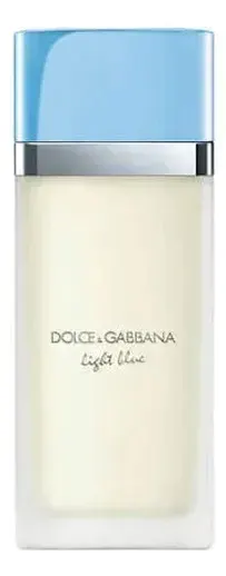 Dolce Gabbana Light Blue Feminino Eau De Toilette 100ml
